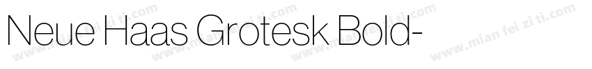 Neue Haas Grotesk Bold字体转换